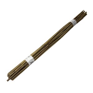 Tutores de Bambú 1,5m (20 und.)