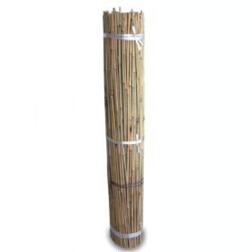 Tutores de Bambú 1,5m (500 und)