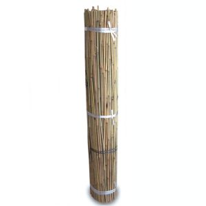 Tutores de Bambú 1 m (300 und)