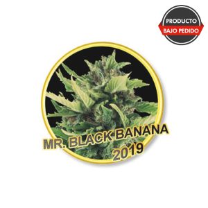 Mr Black Banana Regular