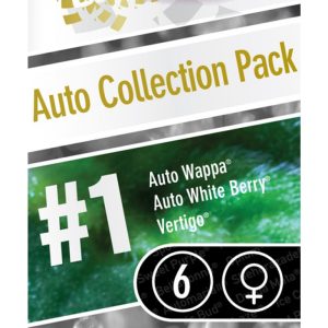 Auto Collection pack No-1
