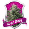 Royal Moby