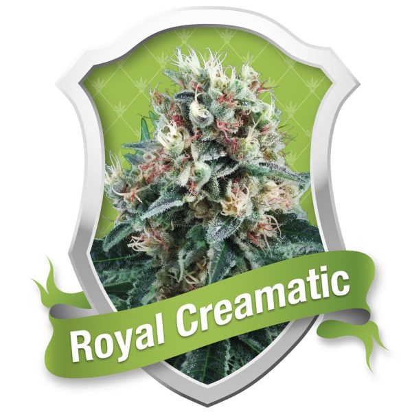 Royal Creamatic