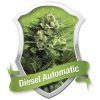 Diesel Automatic