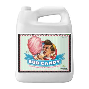 Bud Candy 4 L