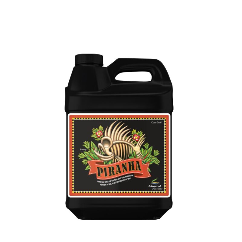 Bongos Grow Zarautz