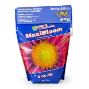 Maxi Bloom 1Kg