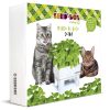 SeedBox Menta Gatuna