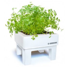 SeedBox Mini huerto albahaca