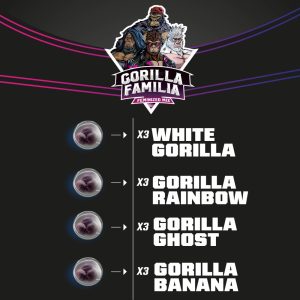 Gorilla Familia Mix