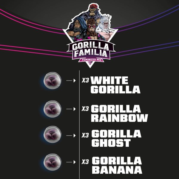Gorilla Familia Mix